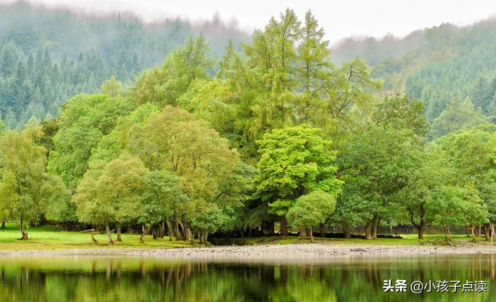 先秦屈原《天问》古诗欣赏及解析 涨知识