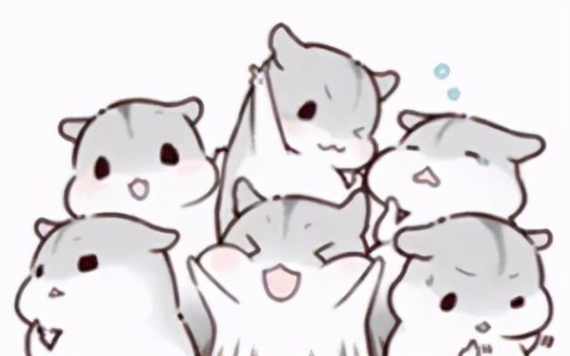 仓鼠表情包仓鼠表情包动图gif