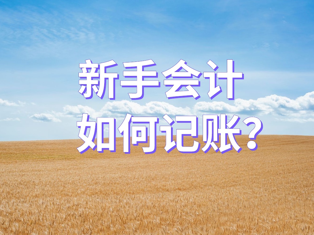 记账会计主要做什么（会计记账原来这么简单）