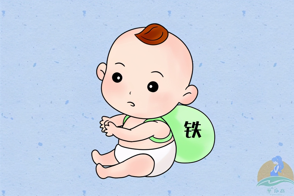 第五次:6月龄铁元素检查