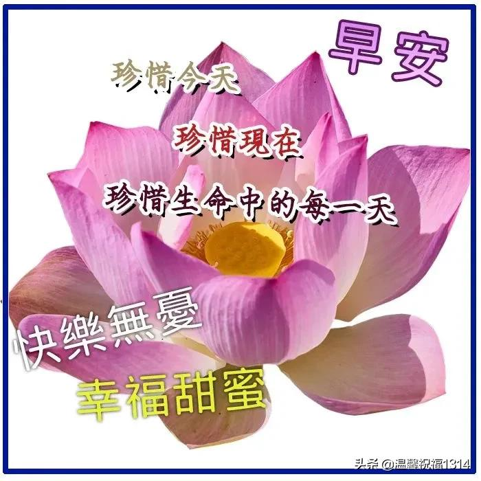 清晨发朋友圈的早安祝福问候语，清晨最美早安问候祝福语温馨短句