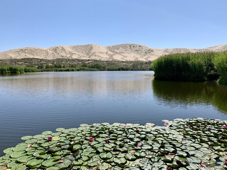 白沙水库门票多少钱(禹州白沙湖风景区)