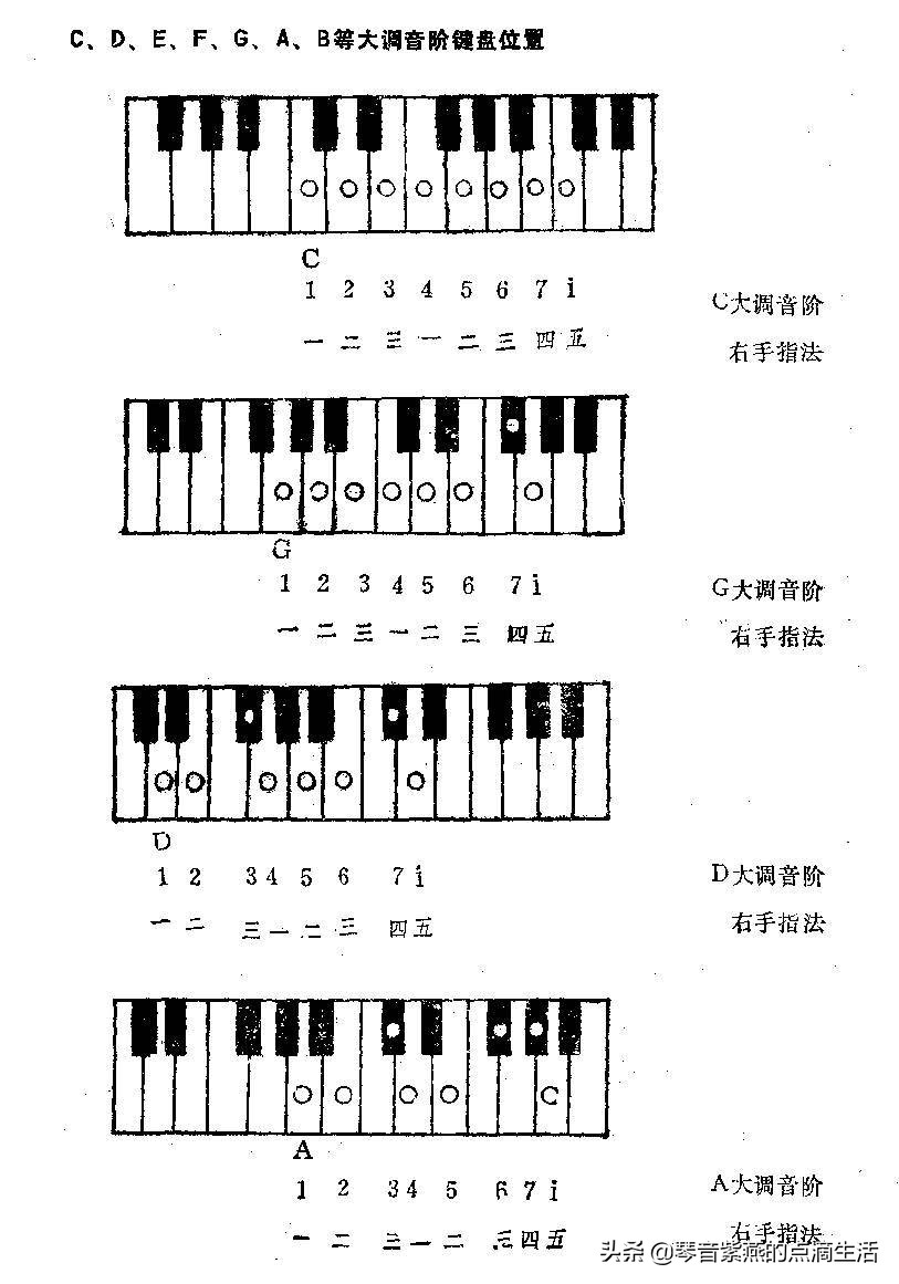 电子琴琴键图对照表（图文讲解电子琴的键位对照图）