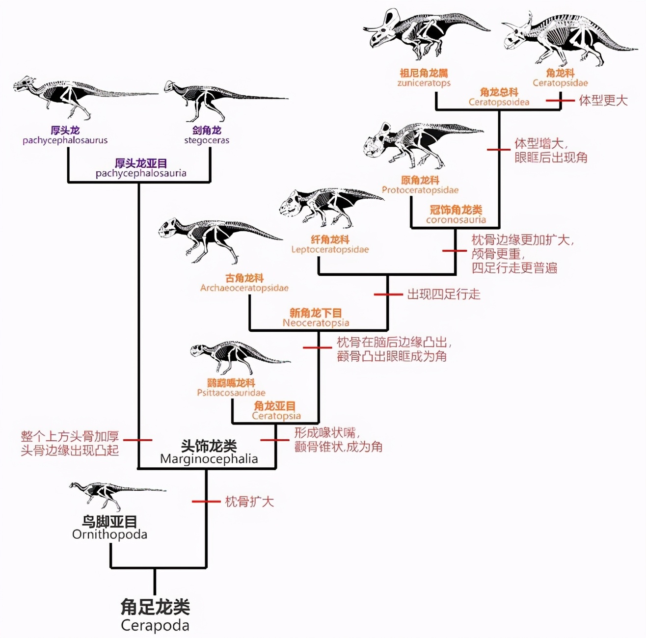 (向左滑)本文已分发各平台,如果您觉得我的文章还不错,请您点击关注