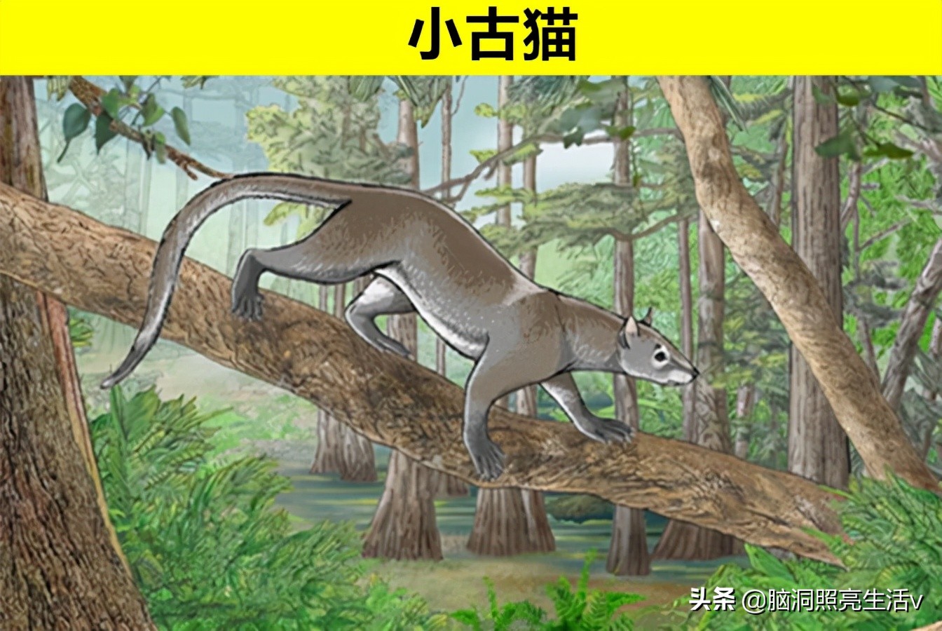 鲜少有人能够知晓的，8个只存在于史前文明的神秘动物