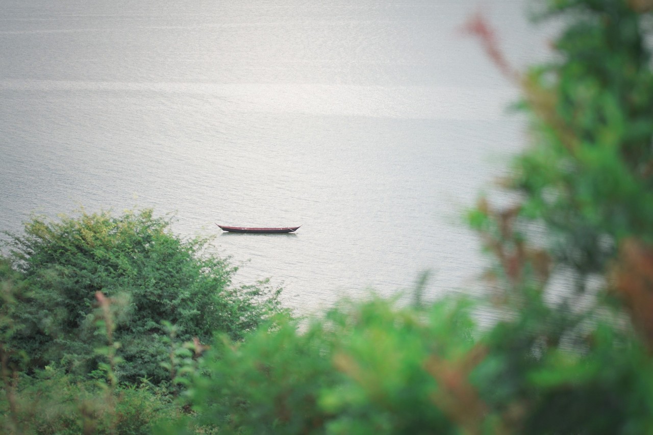 诗词｜岁月不饶人，我亦未曾饶过岁月