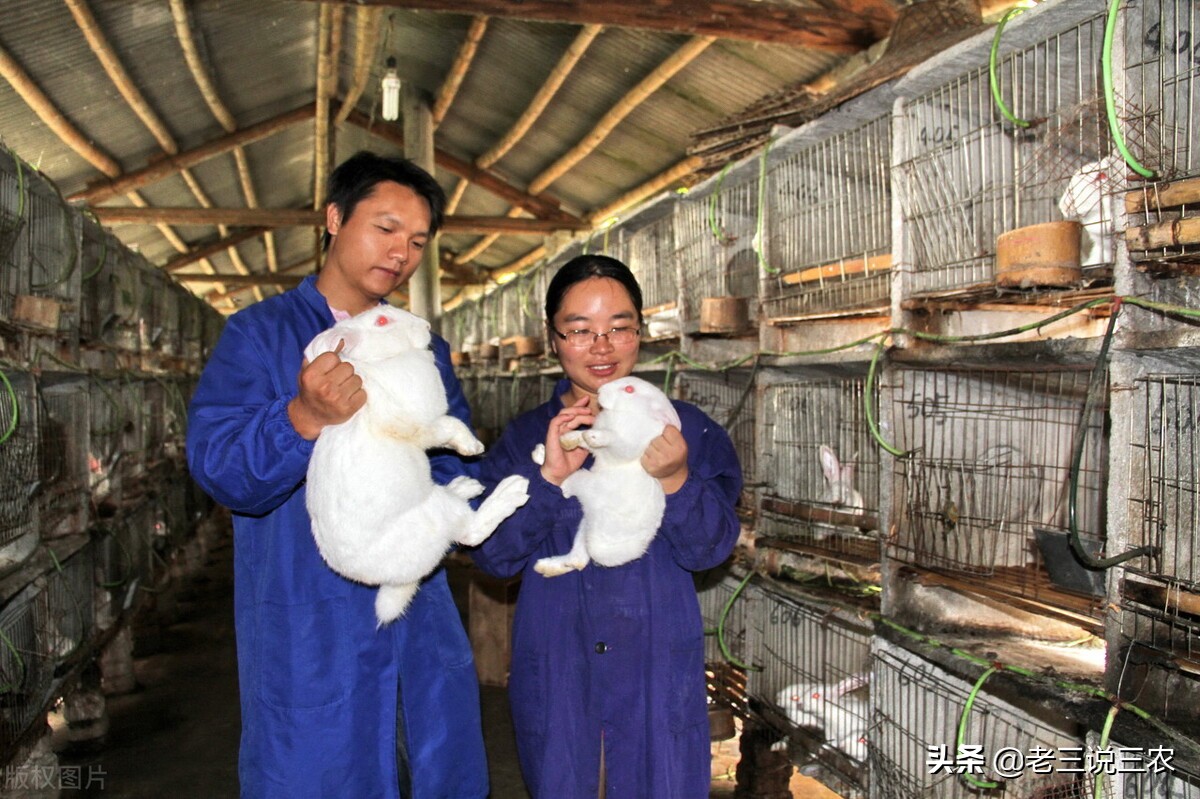 宝博体育- 宝博体育官网- 宝博体育APP下载 BaoBoSports奥林峰情售楼处电话_地址_开盘_物业费-烟台搜狐焦点网