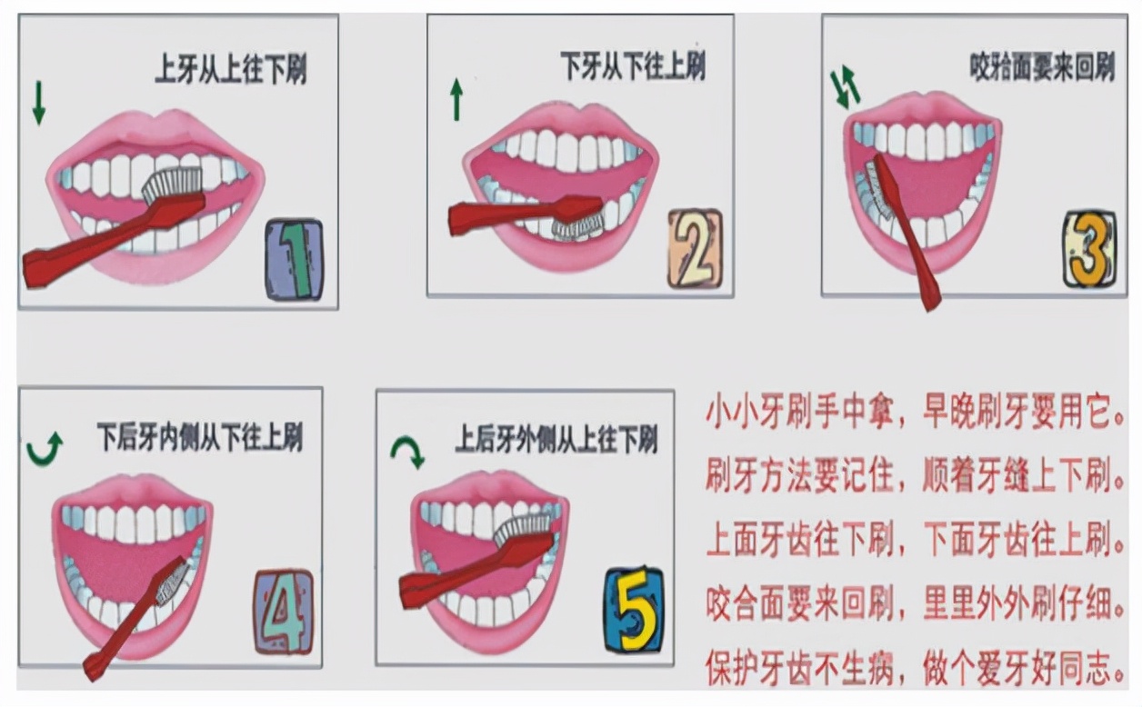 牙齿松动了，拔还是不拔？看看良心老牙医的建议