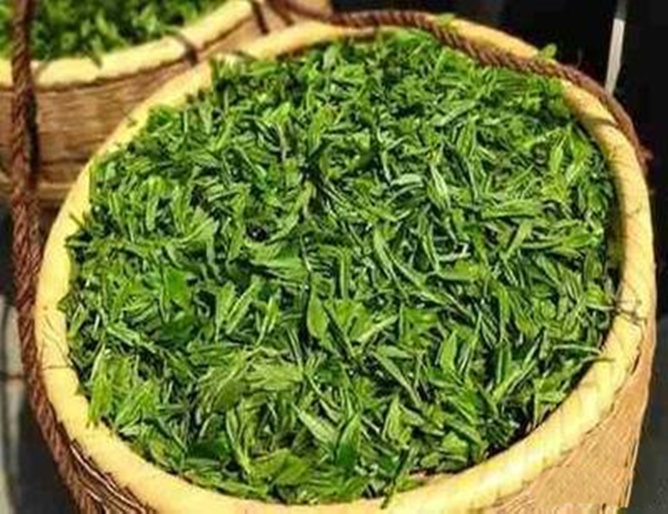 毛尖是什麼茶(黃山毛尖是什麼茶)