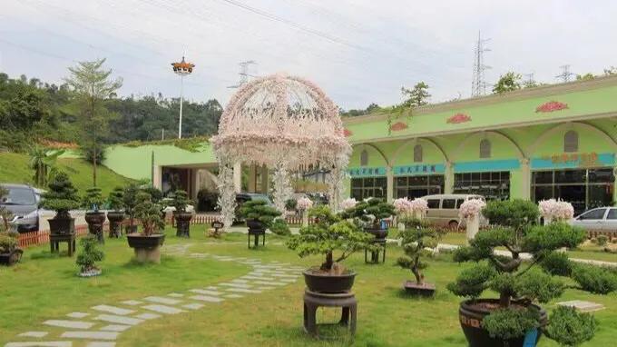 不容错过，深圳各有特色免费的十大主题公园