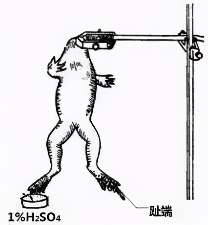 历年高考奇葩题大盘点