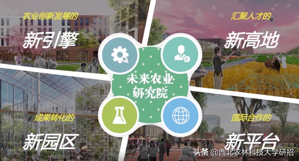 院士云集！陕西这所高校一项研究为国家挽回损失超22亿