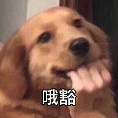 苏州火车票查询,绍兴到苏州火车票查询