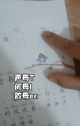 3-6岁是孩子拼音认知敏感期，用这3种趣味方法让娃学得快记得牢