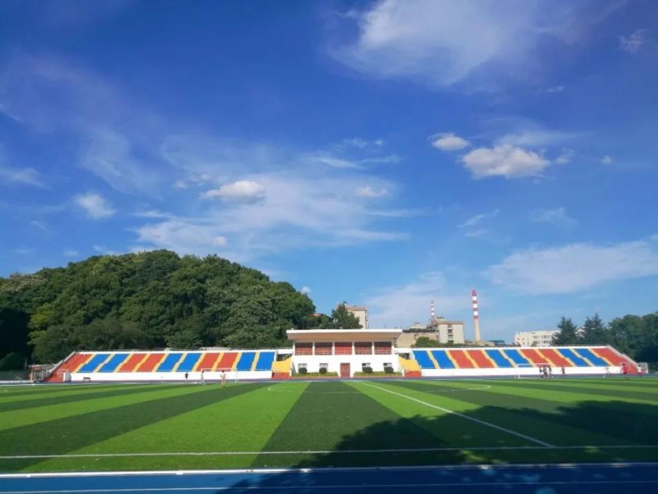 湖北省高考状元的