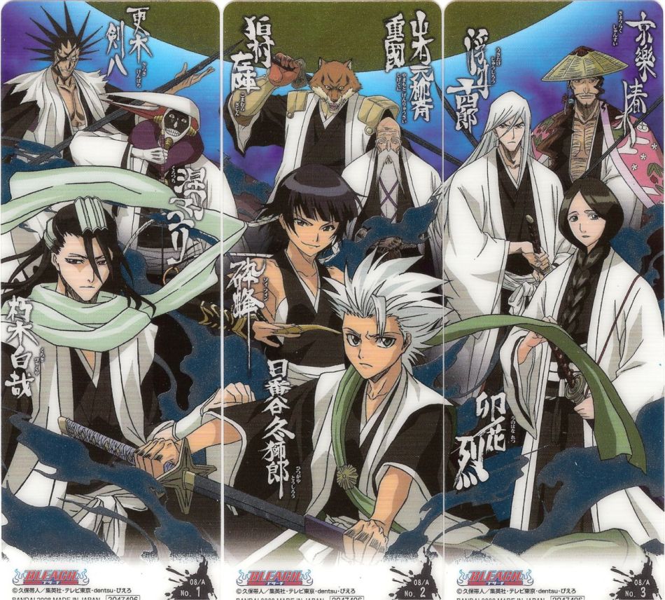 《死神》护廷十三队是尸魂界最重要组成部分之一,目标是保护瀞灵廷的