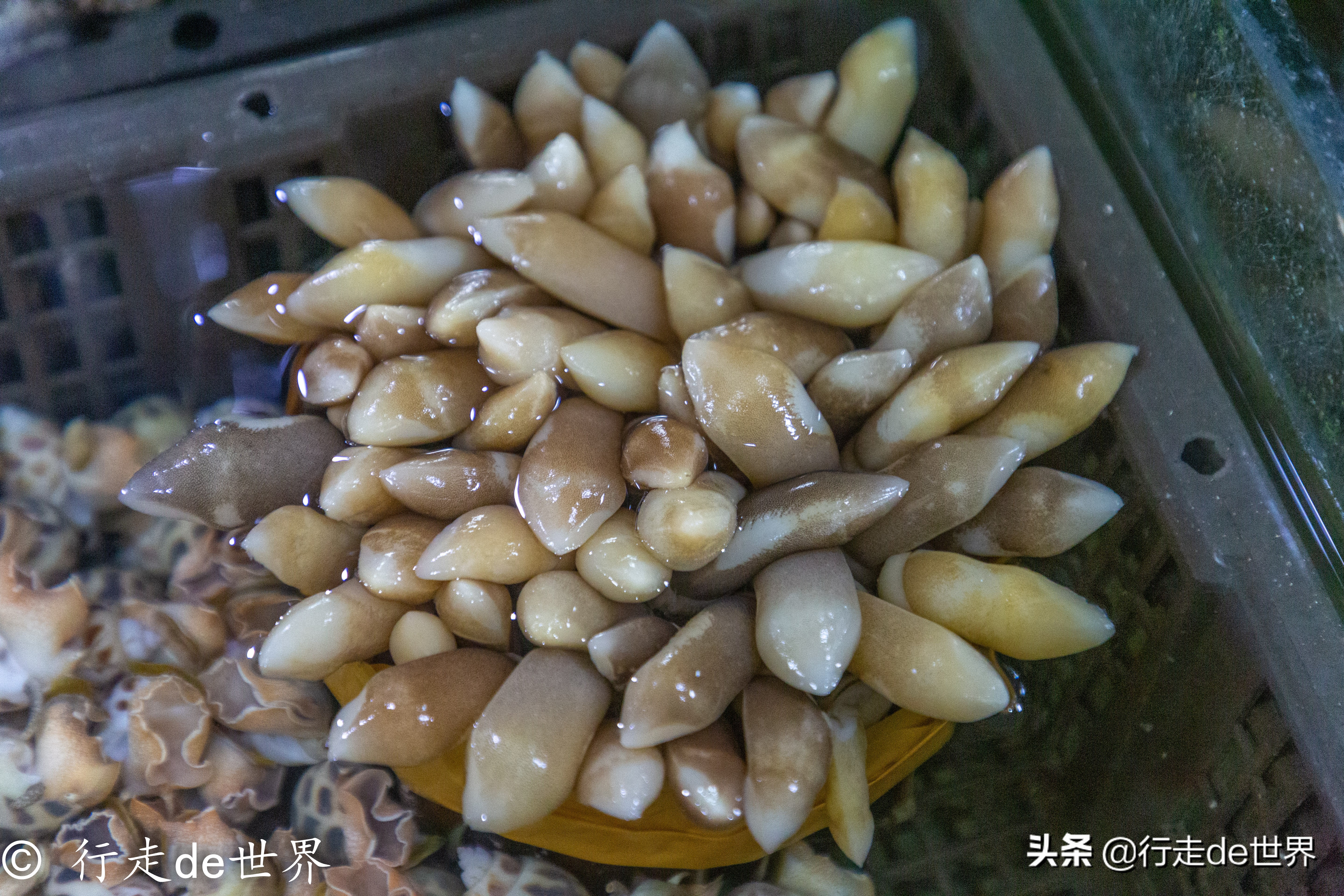 国庆假期相聚顺德，一次性打卡六家餐厅，品味地道顺德味道