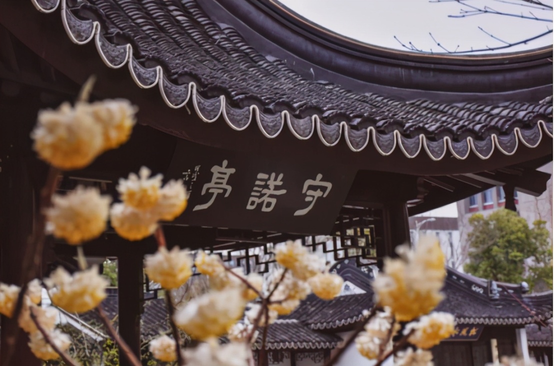 高清大图惊艳来袭！或许，“她”就是南京大学最美校花！