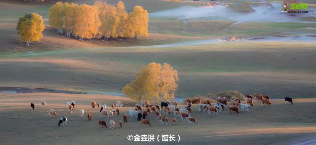 沿途皆如天堂!这10条深秋路线,去过一半就邂逅中国大半的美
