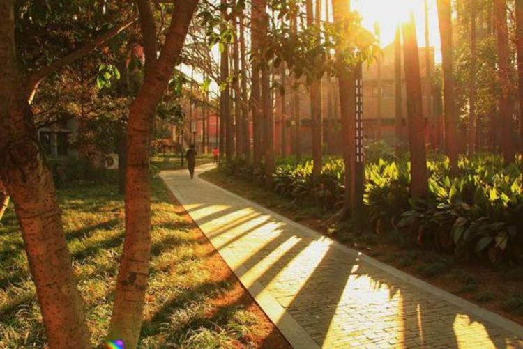 走进上海理工大学