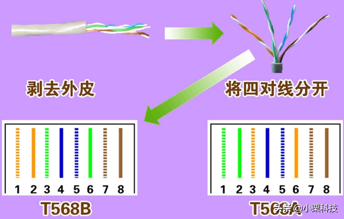 网线b接法颜色顺序图片