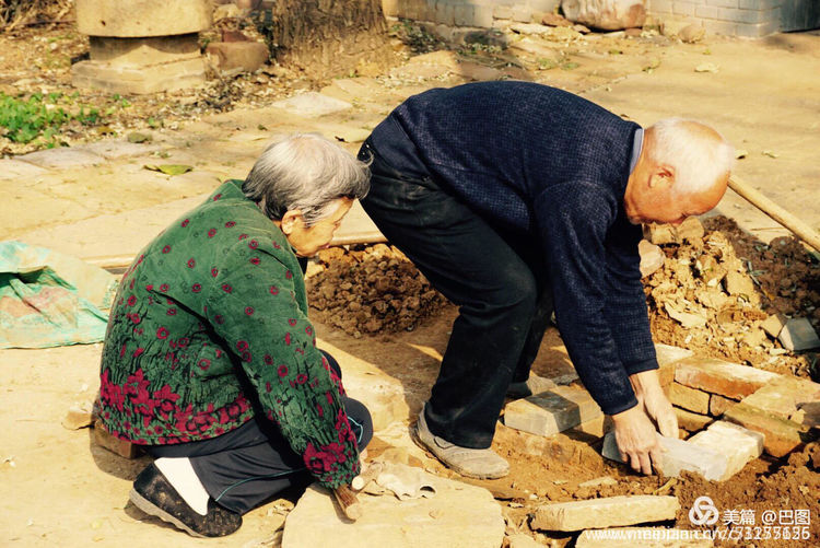 10月7日重阳节，十几首诗词100幅照片，致敬天下老年人
