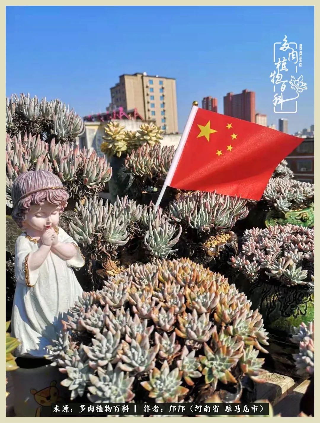 举国欢庆迎国庆，歌舞升平喜相迎！我们都是护旗手