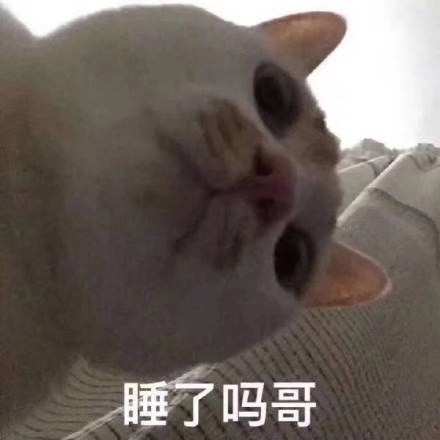 猫咪表情包合集｜你看我像猪吗