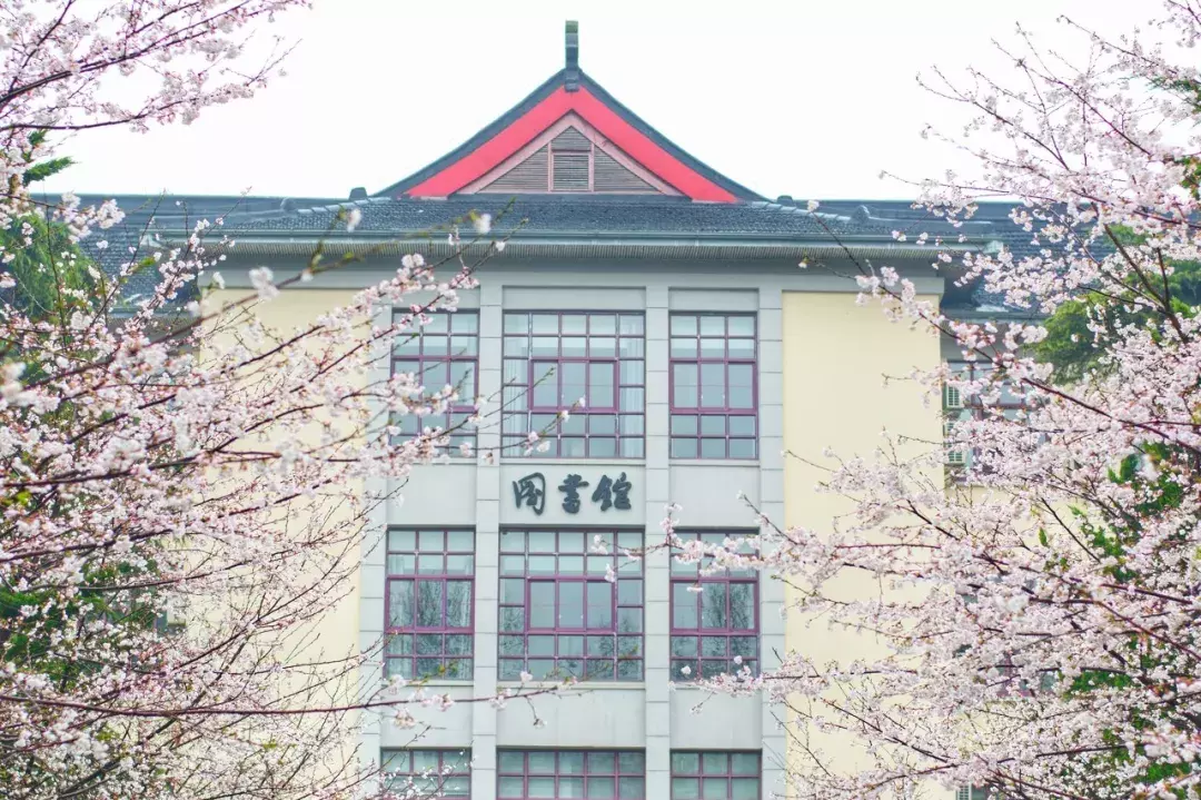 中国春天最美的10座大学，好想回去谈一场恋爱