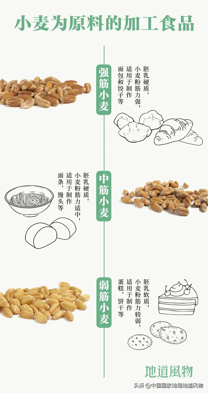 想不到！一粒小麦竟这样改变了中国