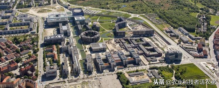 中国农大，荷兰农大，美国农大，日本农大，谁是世界第一农大