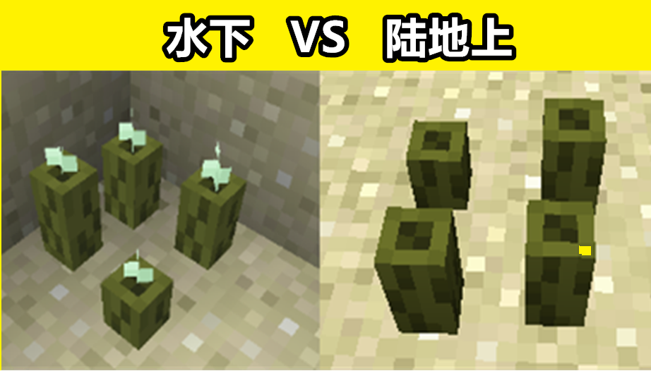 “水下火把”是什么梗？我的世界：海泡菜你可能不知道的12个事实