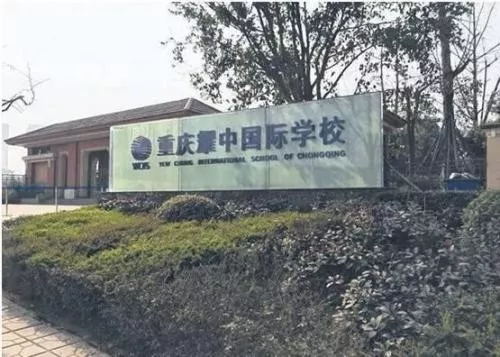 盘点重庆国际小学有哪些？看完直呼不得了！