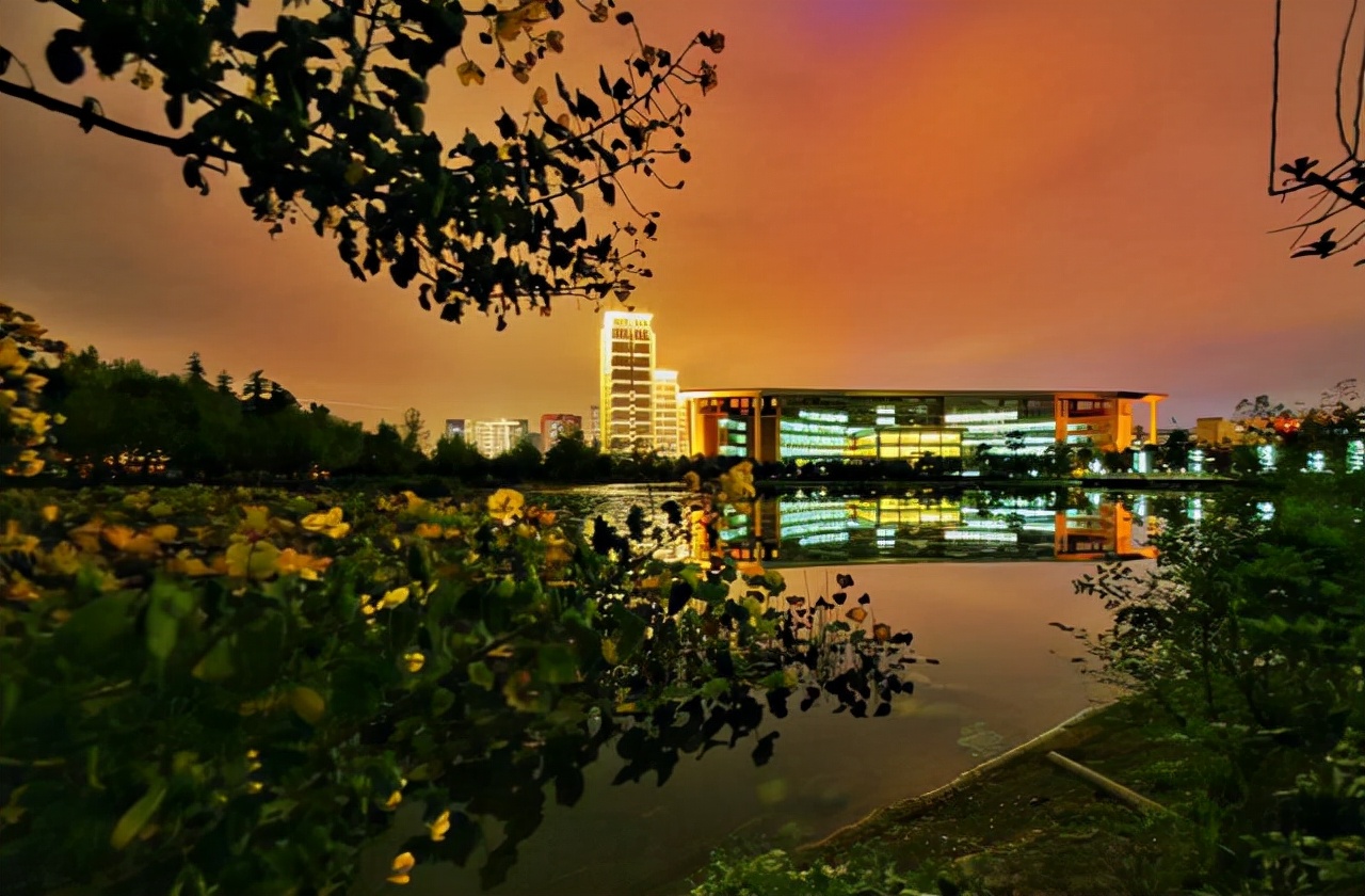 重庆一所高校力争双一流，复旦大学牵手协助，重庆学子有福了