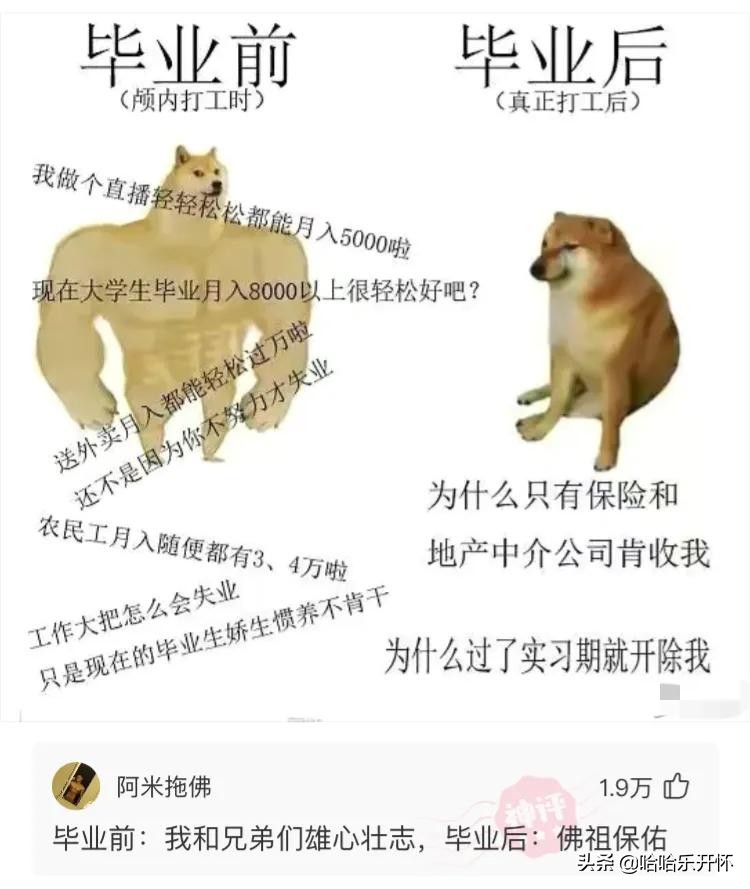 神评爆笑合集：男生最想收到对象送啥礼物？神评笑死我了，哈哈