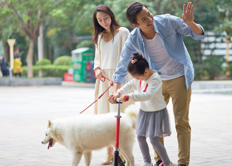 知道哦哈哟、空你七哇？但你真的知道这些日语什么时候使用吗？