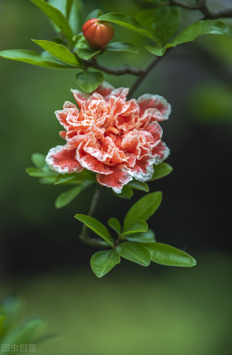 漫步炊烟，流年生香，花开花落终有时，人来人往皆不遇