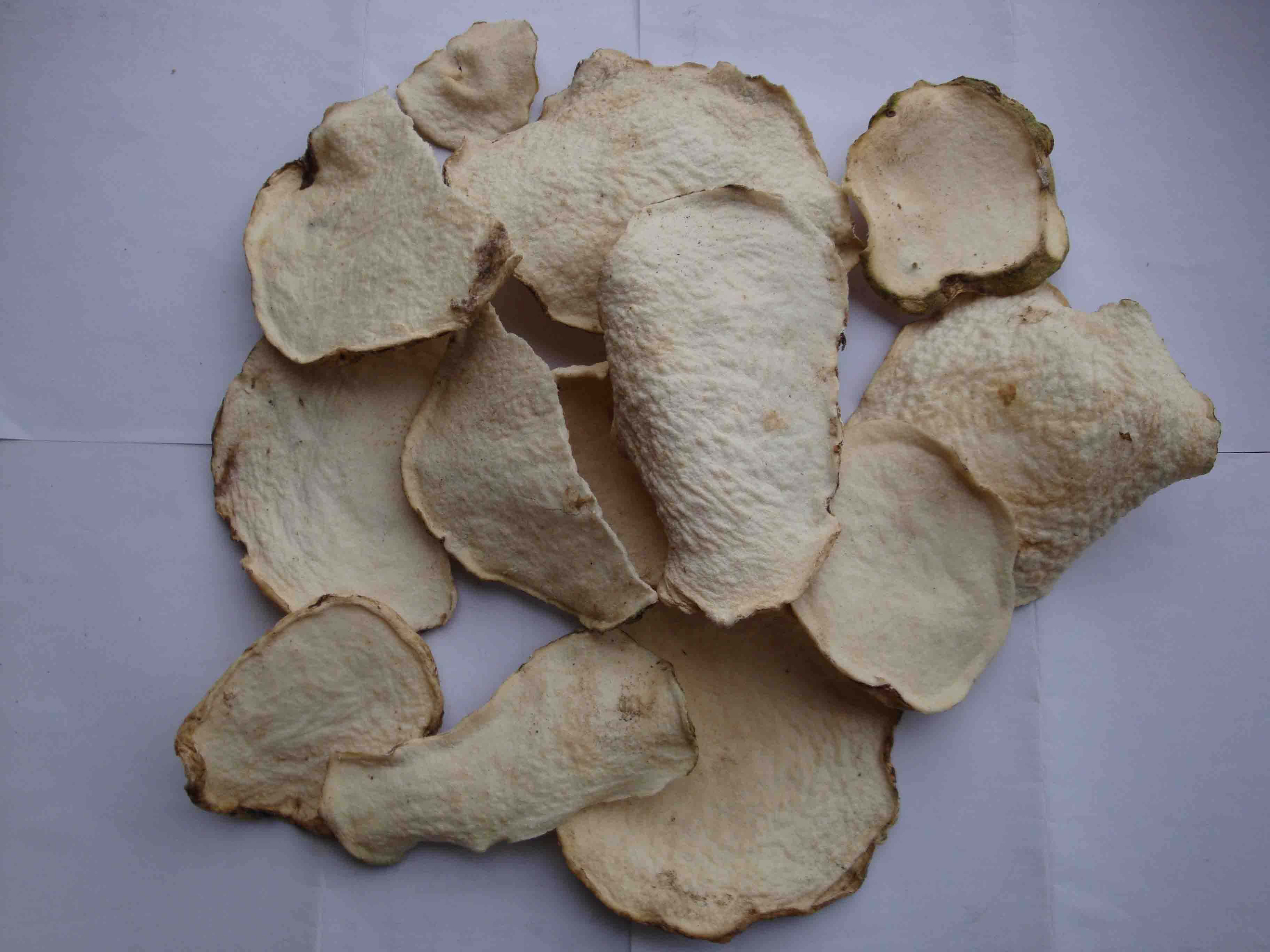 中药材蒟蒻（魔芋）