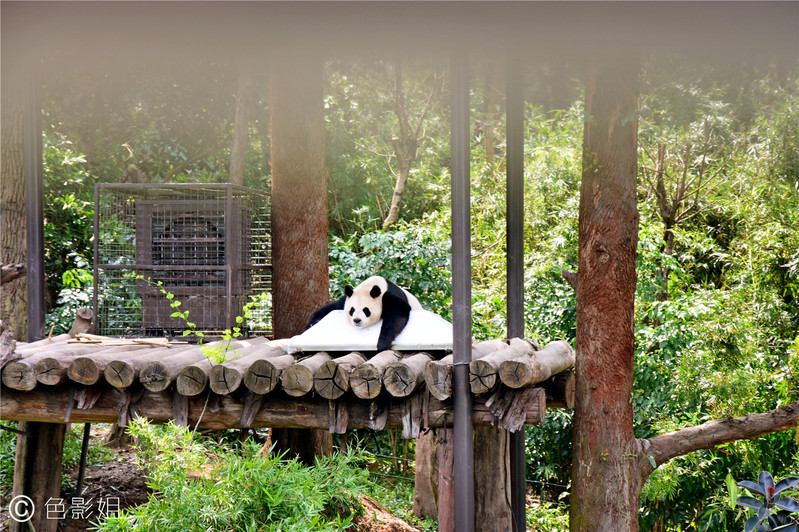 三天三夜欢乐长隆之旅（附攻略）