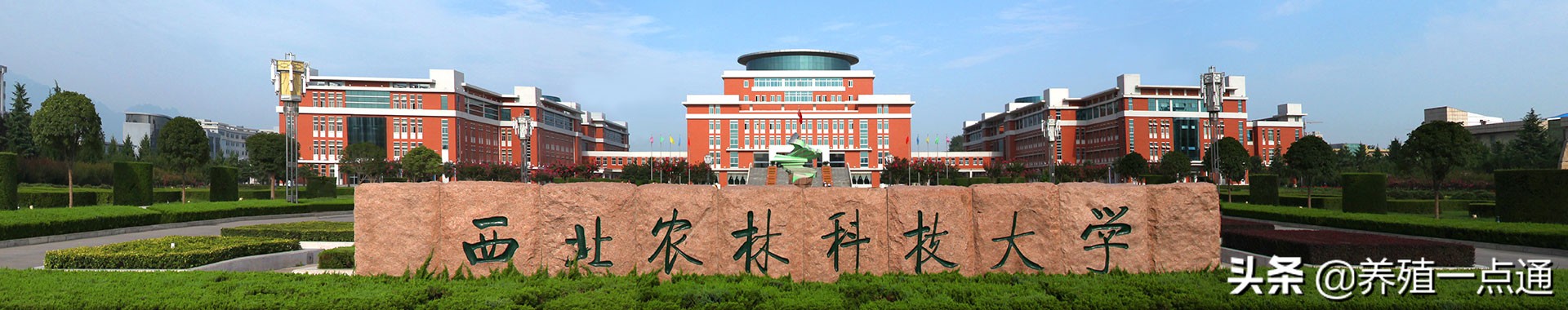 曾文先，西北农林科技大学，博导，教授，基因编辑专家