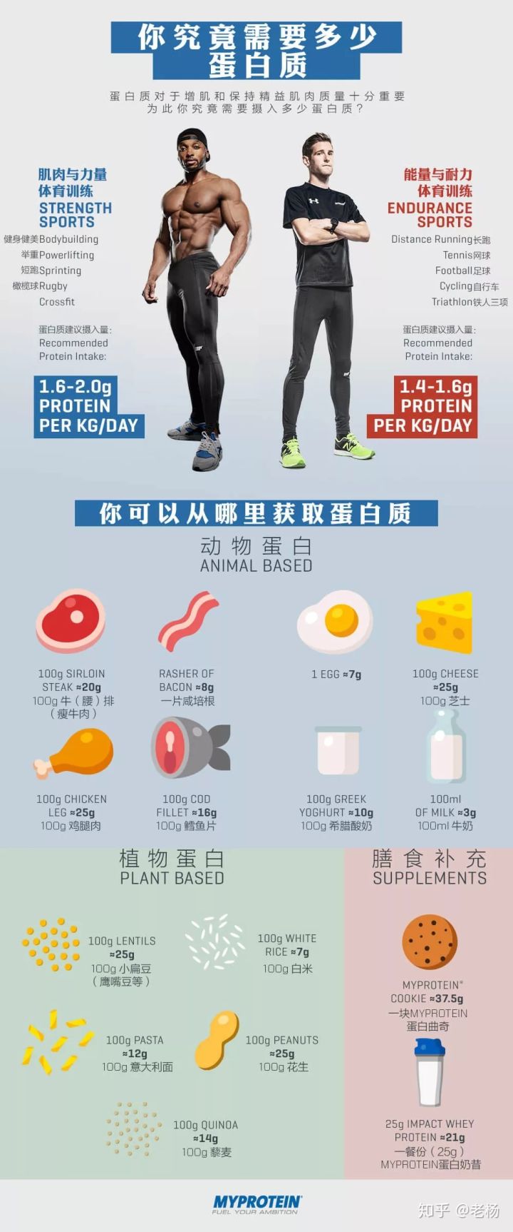 健身补剂不完全指南：蛋白粉要不要吃，吃哪种？该怎么吃？