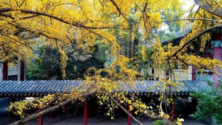 曝光！这些关于南京师范大学的