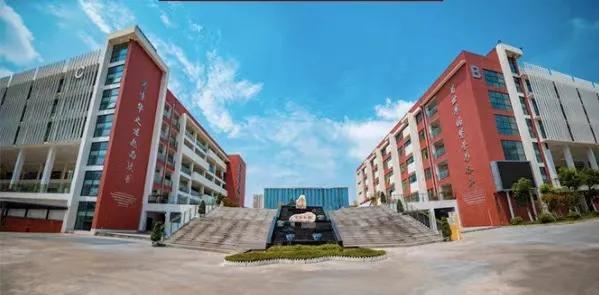 成都这些高校的附属中学，和其他中学又有啥区别呢？