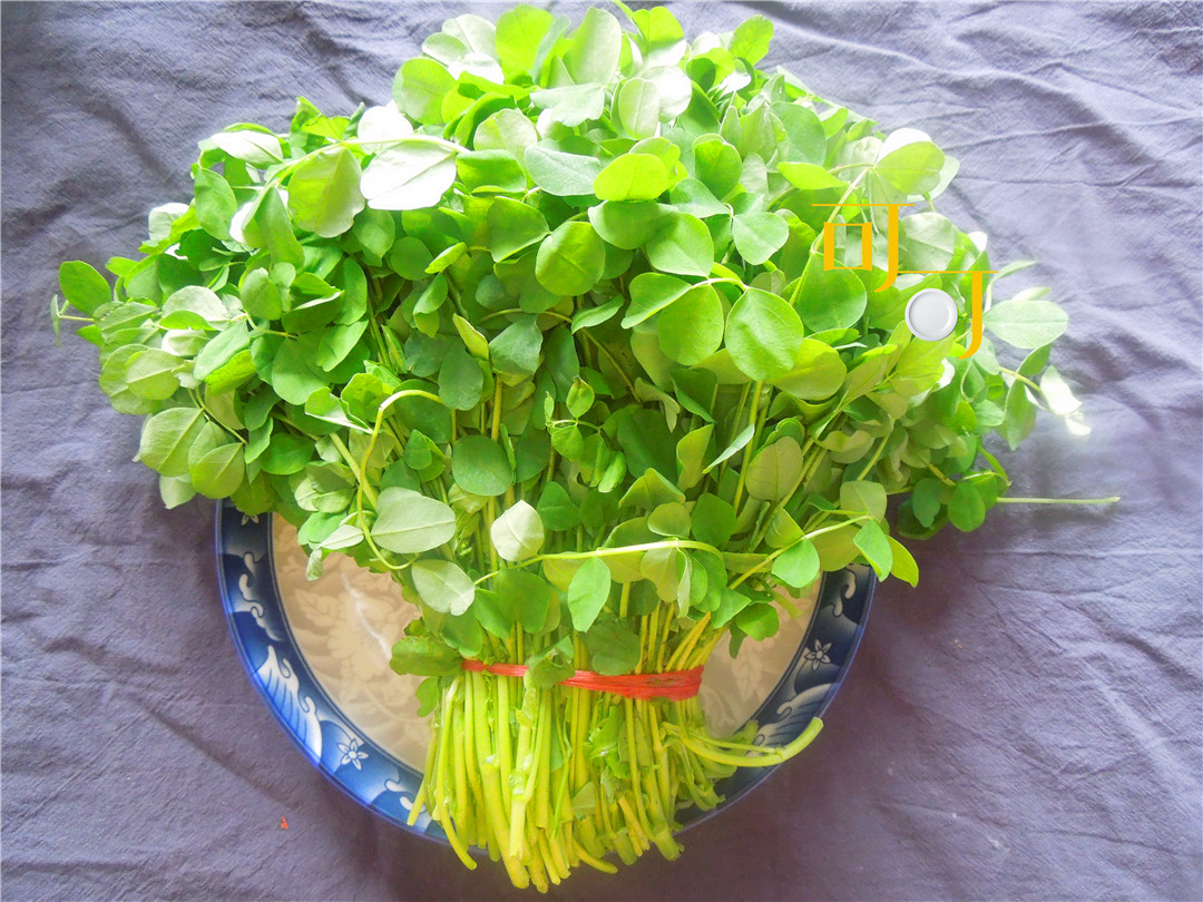 上海人最爱的酒香草头,一年只有这个月才能吃到,怎能不尝尝鲜