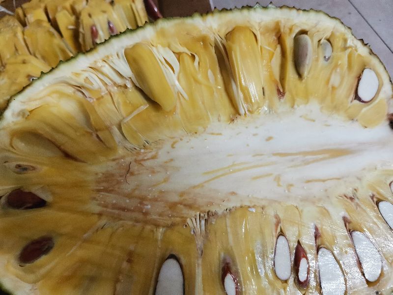 菠萝蜜的胶粘在手上怎么洗掉？最实用四种方法