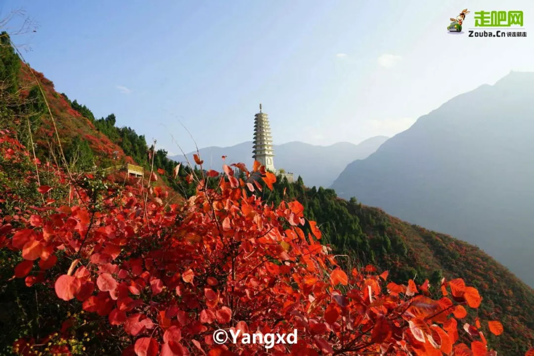 沿途皆如天堂!这10条深秋路线,去过一半就邂逅中国大半的美