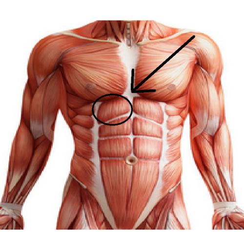 怎么练腹肌的方法