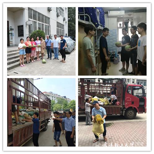 跳水救人、帮助自闭儿童！6个暖心故事带你