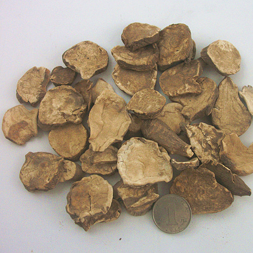 中药附片的功效作用,你知道吗?