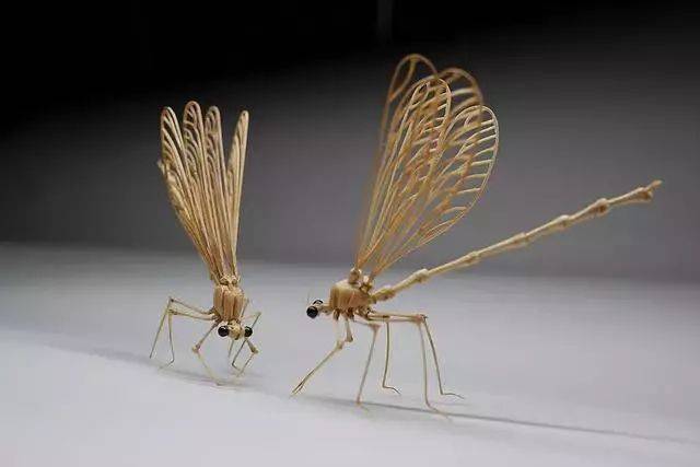 因为每个小零件都极其脆弱,稍有不注意就会弄坏,前功尽弃,竹昆虫部分